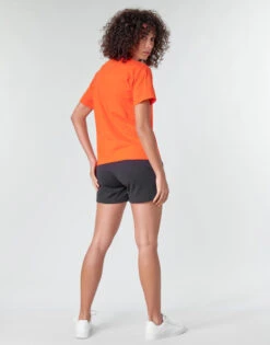 Champion Koolate -Desgue Winkel 16585205 500 D