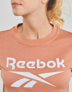 Reebok Classic Ri Bl Tee -Desgue Winkel 23112183 500 E